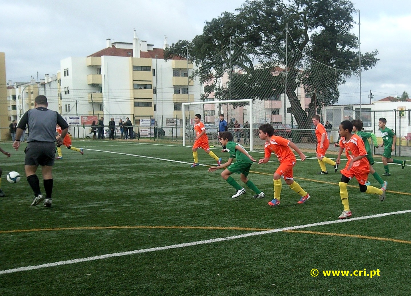 Fotos-0050