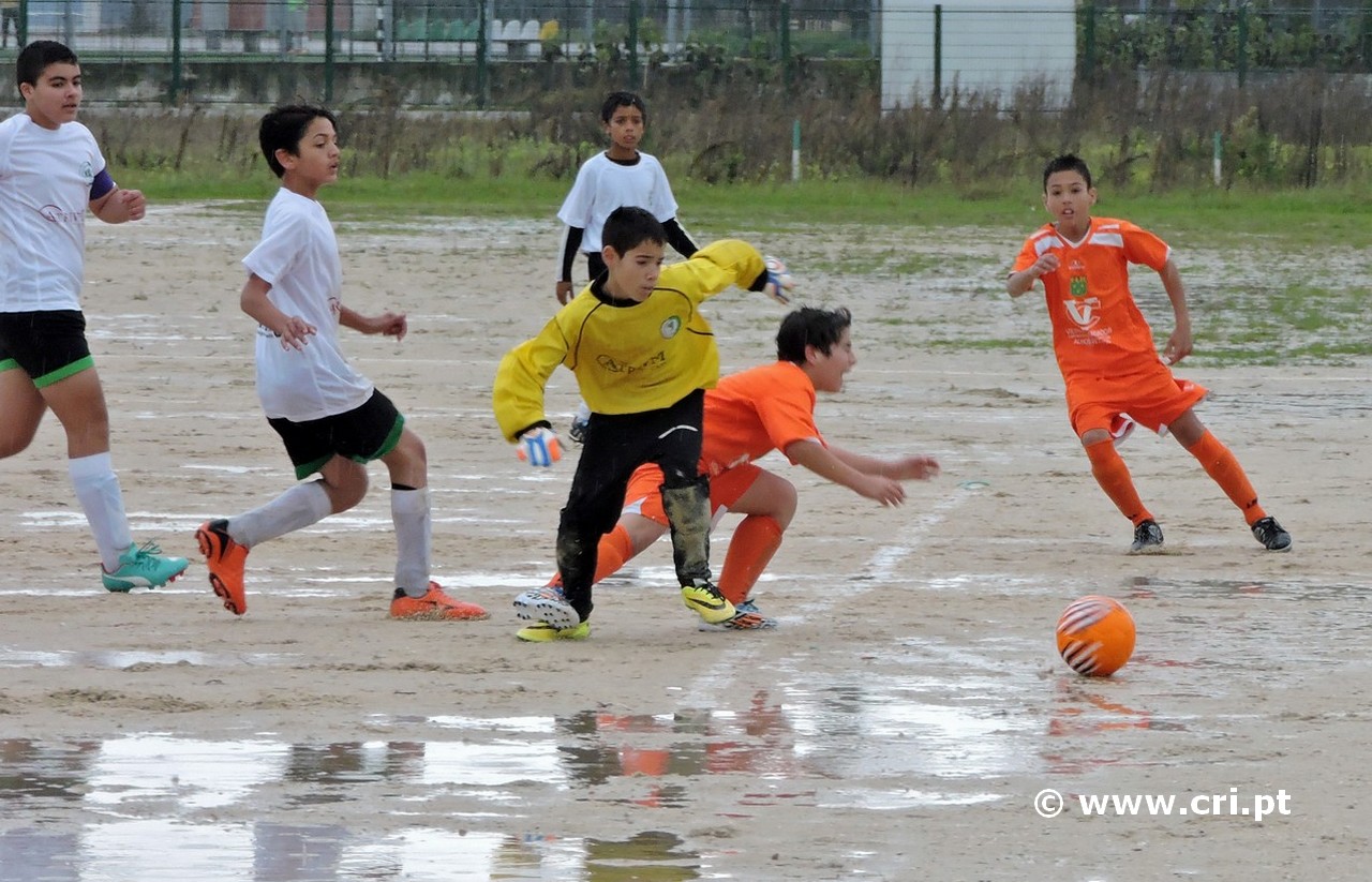 2014.11.13vinhense2-6cri-000