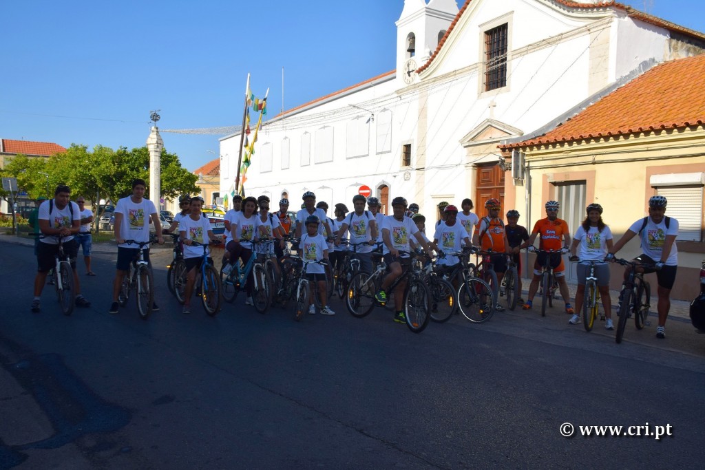 btt centenario cri