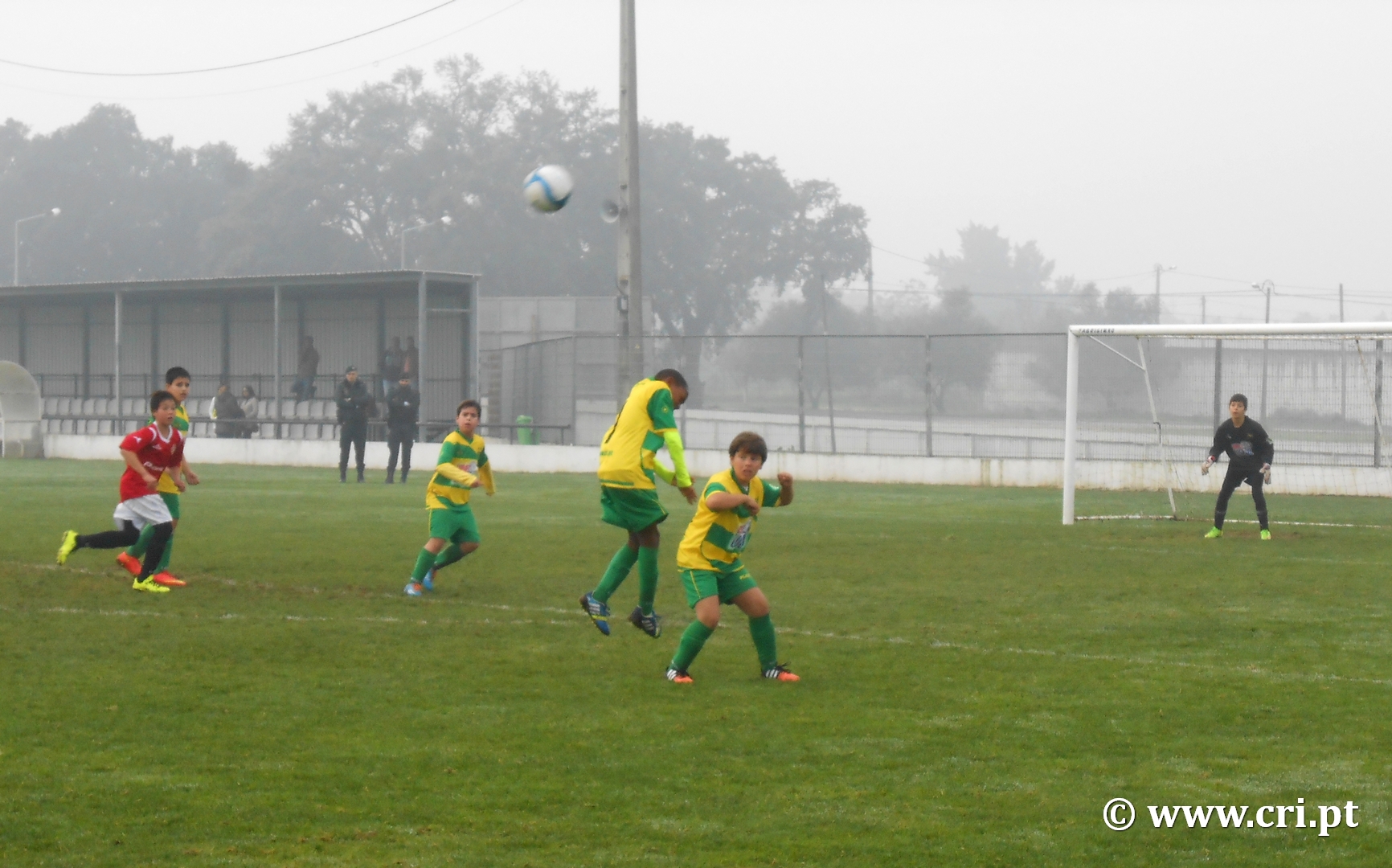 2016.01.23palmelense8-3cri-018