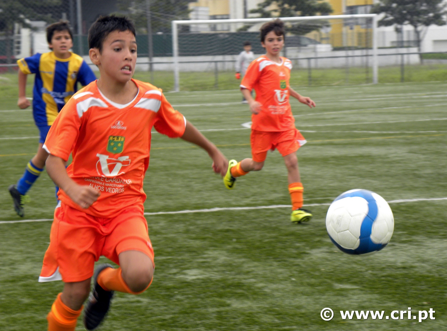 2014.11.22cri5-5quintajense-011
