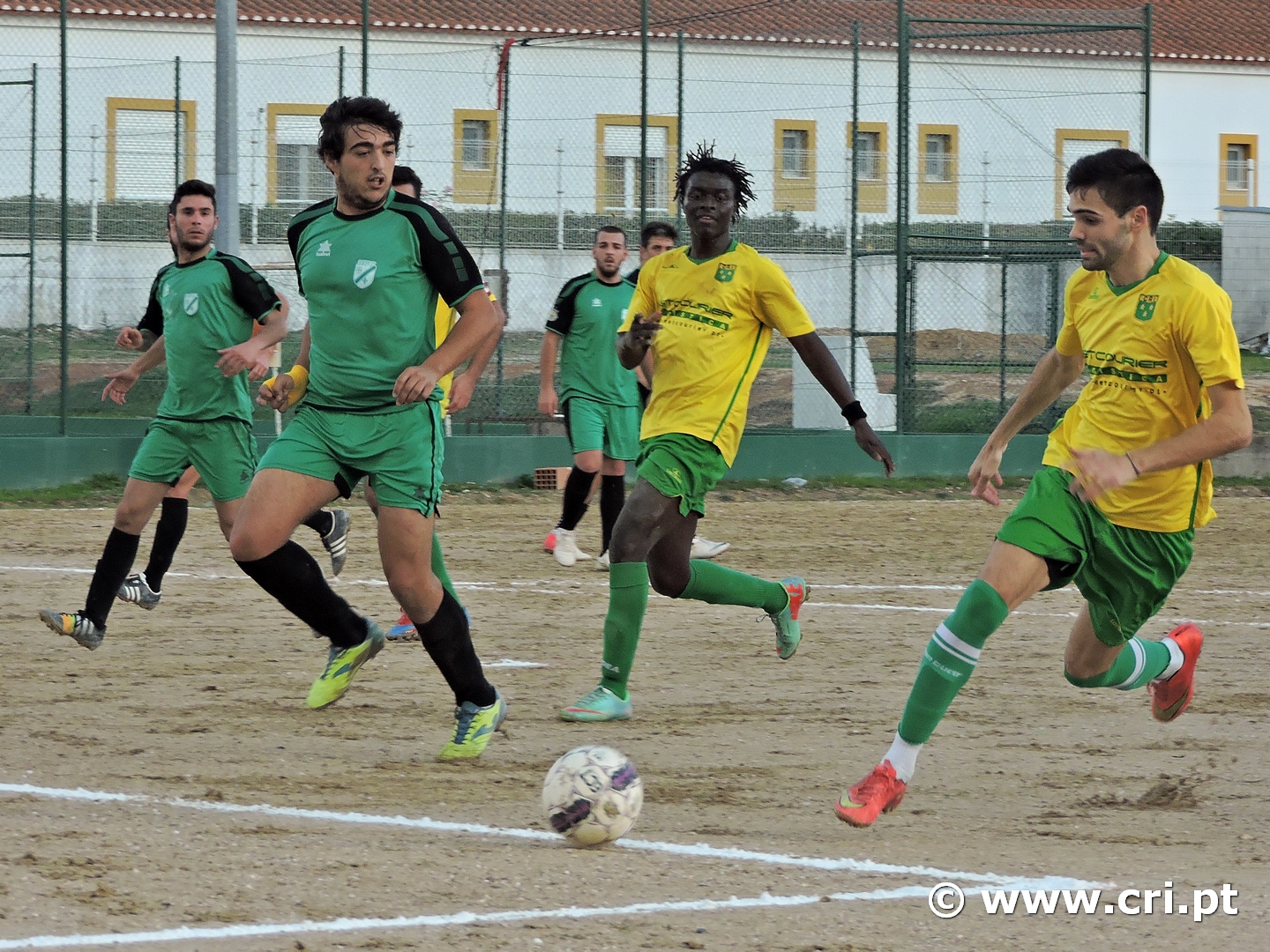 olivalqueimado1-1cri-031